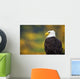 Side View Of American Bald Eagle Wall Mural