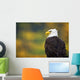 Side View Of American Bald Eagle Wall Mural