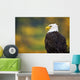 Side View Of American Bald Eagle Wall Mural
