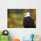 Side View Of American Bald Eagle Wall Mural