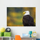 Side View Of American Bald Eagle Wall Mural
