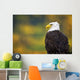 Side View Of American Bald Eagle Wall Mural