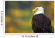 Side View Of American Bald Eagle Wall Mural