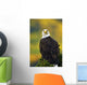 American Bald Eagle Perched On Evergreen Branch Wall Mural