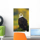 American Bald Eagle Perched On Evergreen Branch Wall Mural
