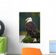 Side View Of American Bald Eagle Perched On Evergreen Branch Wall Mural