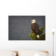 Side View Of American Bald Eagle Perched On Evergreen Branch Wall Mural
