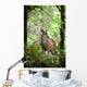 White-Tailed Deer Peering Out Of The Woods Wall Mural