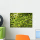 Leafy Branches, Muskoka, Ontario, Canada Wall Mural