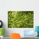 Leafy Branches, Muskoka, Ontario, Canada Wall Mural