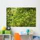 Leafy Branches, Muskoka, Ontario, Canada Wall Mural