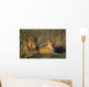 Male And Female Lion In Grass Wall Mural