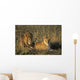 Male And Female Lion In Grass Wall Mural