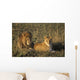Male And Female Lion In Grass Wall Mural