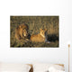 Male And Female Lion In Grass Wall Mural