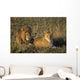 Male And Female Lion In Grass Wall Mural