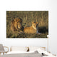Male And Female Lion In Grass Wall Mural