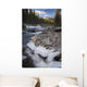 Waterfall On Sheep River Wall Mural