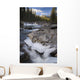 Waterfall On Sheep River Wall Mural