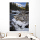 Waterfall On Sheep River Wall Mural