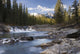 Waterfall On Sheep River Wall Mural