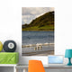 Three Birds In The Water At The Shore Wall Mural