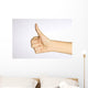 Thumbs Up Wall Mural
