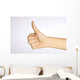 Thumbs Up Wall Mural