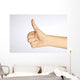 Thumbs Up Wall Mural