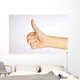 Thumbs Up Wall Mural