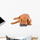Dog Tired Phone Calls Wall Decal