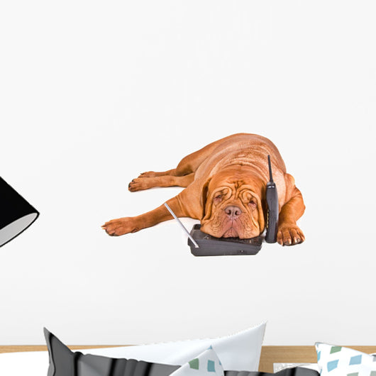 Dog Tired of Phone Calls Wall Decal