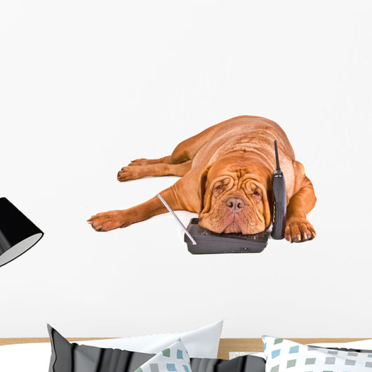 Dog Tired of Phone Calls Wall Decal