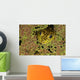 American Bullfrog Wall Mural