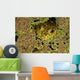 American Bullfrog Wall Mural