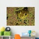 American Bullfrog Wall Mural