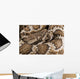 Southern Pacific Rattlesnake, Wall Mural