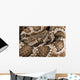 Southern Pacific Rattlesnake, Wall Mural