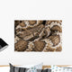Southern Pacific Rattlesnake, Wall Mural