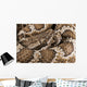 Southern Pacific Rattlesnake, Wall Mural