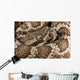 Southern Pacific Rattlesnake, Wall Mural