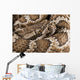 Southern Pacific Rattlesnake, Wall Mural
