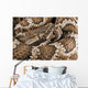 Southern Pacific Rattlesnake, Wall Mural
