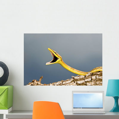 Defensive Brown Vine Snake Wall Mural shown on a wall