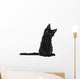 Black Maine Coon Kitten Wall Decal