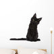 Black Maine Coon Kitten Wall Decal