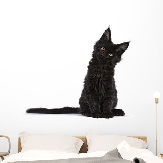 Black Cat Vector Icon Wall Decal -  – Wallmonkeys