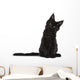 Black Maine Coon Kitten Wall Decal