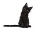 Black Maine Coon Kitten Wall Decal