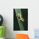 Pacific Tree Frog Wall Mural